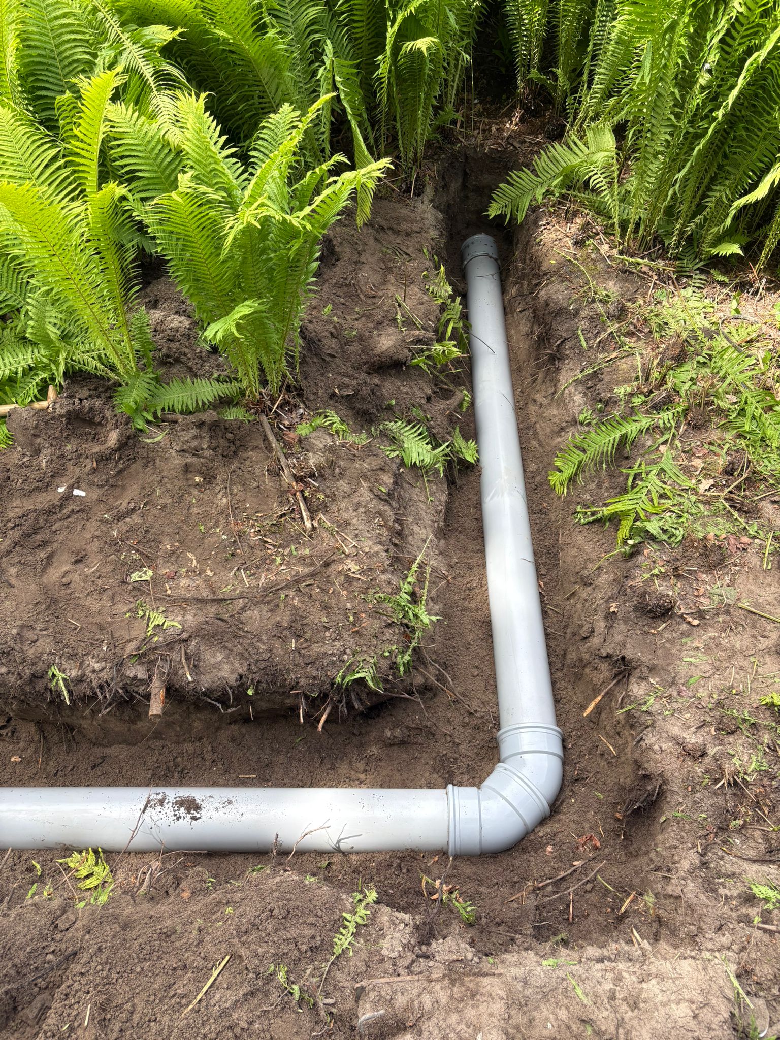 PVC-bocht in nieuw riooltraject tussen beplanting in Warmond