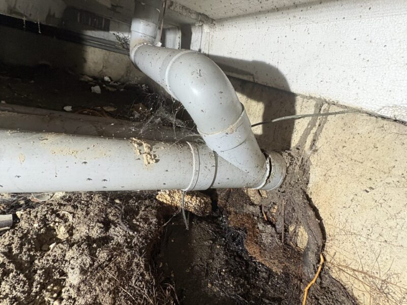 Gebroken PVC-rioolleiding in kruipruimte door wortelingroei via gevelmantel in Rijswijk